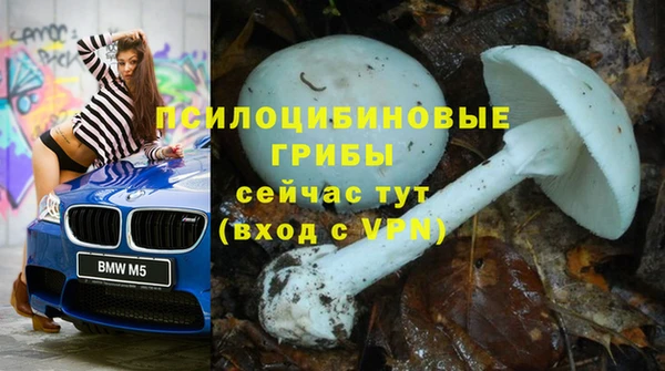 гидропоника Нея