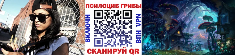 даркнет сайт  Петров Вал  кракен зеркало  Галлюциногенные грибы Psilocybine cubensis 